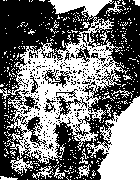 dadan.png